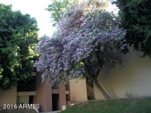 1340 N Recker Rd #231, Mesa, AZ 85205 photo 2