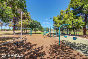 461 E Meadows Ln, Gilbert, AZ 85234 photo 40