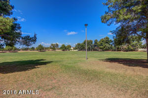 461 E Meadows Ln, Gilbert, AZ 85234 photo 38