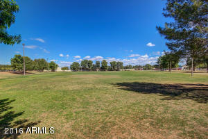 461 E Meadows Ln, Gilbert, AZ 85234 photo 43