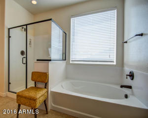 3956 E Marlene Dr, Gilbert, AZ 85296 photo 31