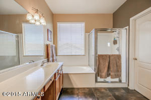 7346 E Melrose St, Mesa, AZ 85207 photo 15