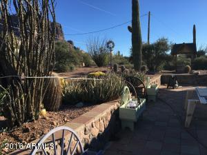 6161 E Mining Camp St, Apache Junction, AZ 85119 photo 4