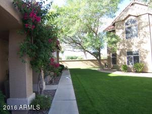 1633 E Lakeside Dr #117, Gilbert, AZ 85234 photo 16