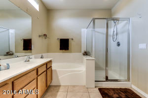 11042 E Cholla Rd, Mesa, AZ 85207 photo 16
