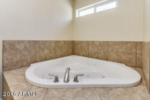 1032 E Hampton Ave, Mesa, AZ 85204 photo 19