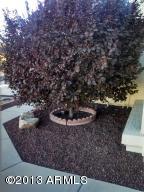 4132 E San Pedro Ave, Gilbert, AZ 85234 photo 6