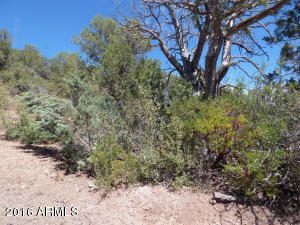 6662 W Jan Dr, Pine, AZ 85544 photo 24