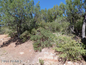 6662 W Jan Dr, Pine, AZ 85544 photo 20