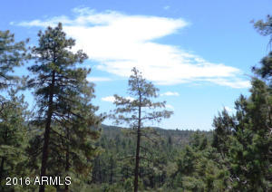 6662 W Jan Dr, Pine, AZ 85544 photo 21