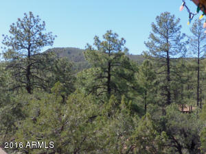 6662 W Jan Dr, Pine, AZ 85544 photo 22