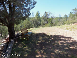 6662 W Jan Dr, Pine, AZ 85544 photo 19
