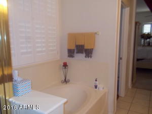1333 E Geronimo St, Chandler, AZ 85225 photo 12