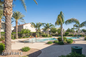 4243 E Tyson St, Gilbert, AZ 85295 photo 33