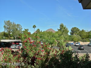 3235 E Camelback Rd #213, Phoenix, AZ 85018 photo 16