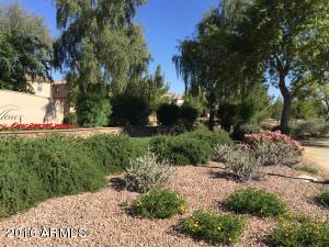 4122 E Oakland St, Gilbert, AZ 85295 photo 27