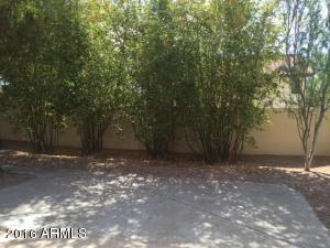 429 E Susan Ln, Tempe, AZ 85288 photo 19