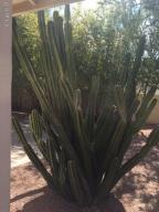 429 E Susan Ln, Tempe, AZ 85288 photo 13