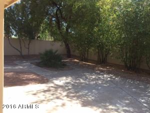 429 E Susan Ln, Tempe, AZ 85288 photo 14