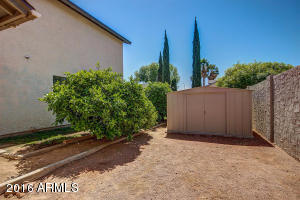 3045 E Laurel St, Mesa, AZ 85213 photo 48