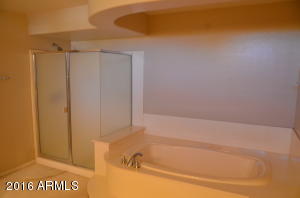 4031 E Fox St, Mesa, AZ 85205 photo 44