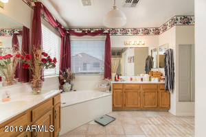 3112 E South Fork Dr, Phoenix, AZ 85048 photo 19