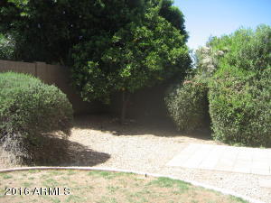 645 W Scott Ave, Gilbert, AZ 85233 photo 21