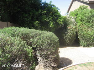 645 W Scott Ave, Gilbert, AZ 85233 photo 20
