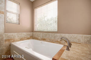 2554 E Del Rio Ct, Gilbert, AZ 85295 photo 44