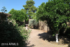 4240 E Carmel Ave, Mesa, AZ 85206 photo 11