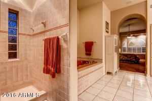 3820 E Forge Ave, Mesa, AZ 85206 photo 19