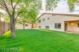 517 E Saratoga St, Gilbert, AZ 85296 photo 44