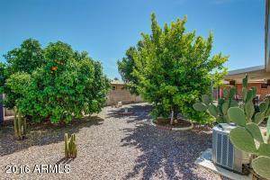 4051 E Concho Ave, Mesa, AZ 85206 photo 21
