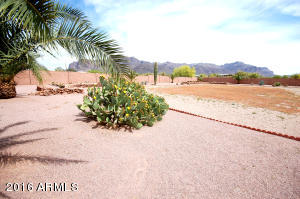 6042 E 22nd Ave, Apache Junction, AZ 85119 photo 32