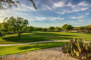 3712 E Bryce Ln, Phoenix, AZ 85050 photo 70