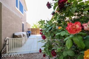 1012 E San Tan Dr, Gilbert, AZ 85296 photo 38