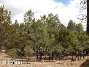 2232 Roundabout Way, Overgaard, AZ 85933 photo 9