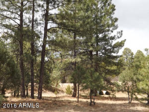 2232 Roundabout Way, Overgaard, AZ 85933 photo 8