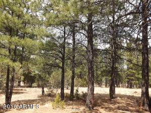 2232 Roundabout Way, Overgaard, AZ 85933 photo 7
