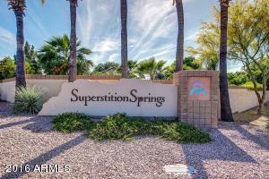 7402 E Lakeview Ave, Mesa, AZ 85209 photo 23