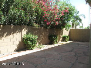 706 S Cardinal St, Gilbert, AZ 85296 photo 16