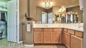 4295 E Ficus Way, Gilbert, AZ 85298 photo 19