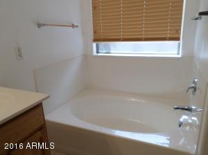 1173 E Mary Ln, Gilbert, AZ 85295 photo 20