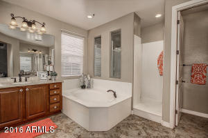 3738 E Morrison Ranch Pkwy, Gilbert, AZ 85296 photo 20