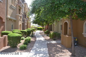 240 W Juniper Ave #1021, Gilbert, AZ 85233 photo 2