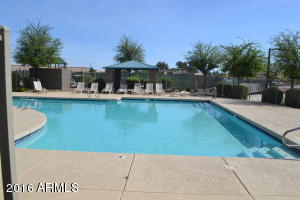240 W Juniper Ave #1021, Gilbert, AZ 85233 photo 15