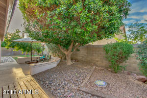 444 E Silver Creek Rd, Gilbert, AZ 85296 photo 47