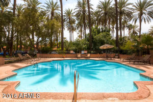 4540 N 44th St #7, Phoenix, AZ 85018 photo 6