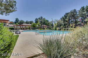 860 E Bruce Ave, Gilbert, AZ 85234 photo 5