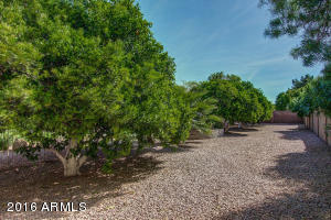 4241 Encanto St, Mesa, AZ 85205 photo 50